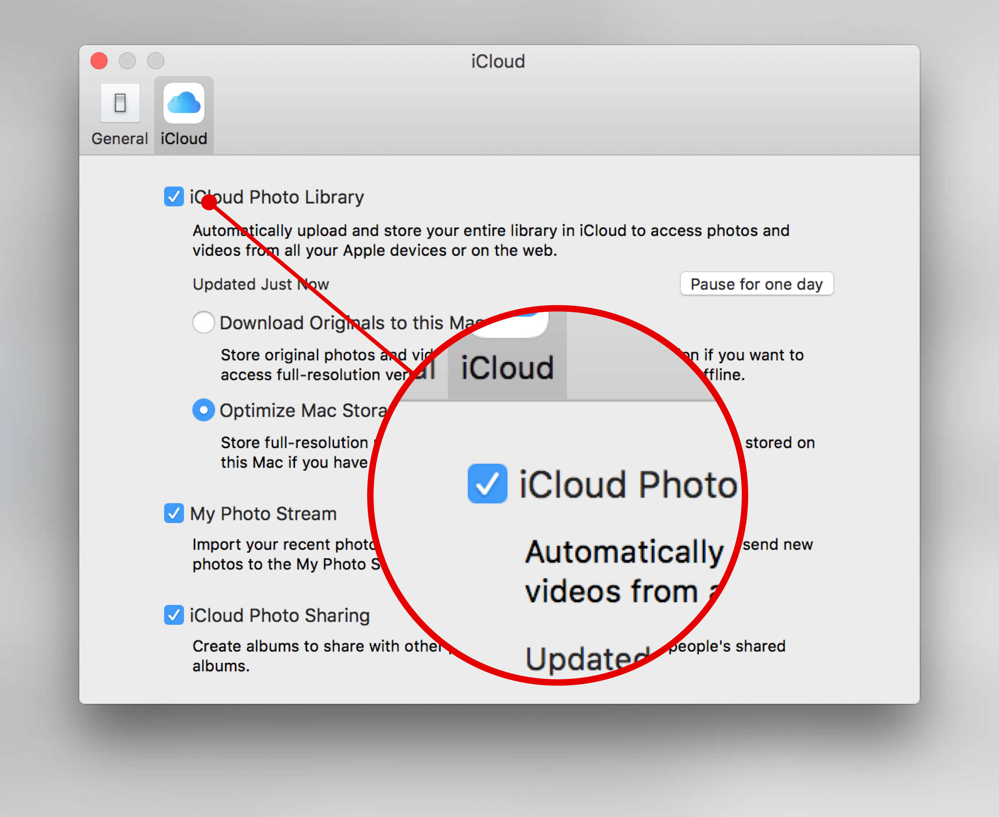 Where do files store in photo library on mac download